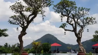 10 Tempat Wisata Instagramable pada Sekitar Sentul, Ada Negeri pada Atas Awan