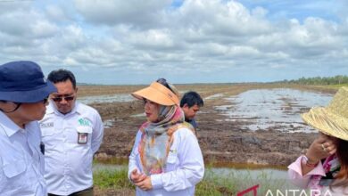 Kementan dampingi petani millenial kembangkan pertanian modern