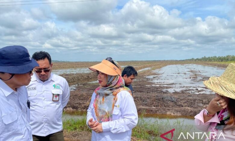 Kementan dampingi petani millenial kembangkan pertanian modern