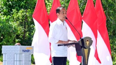 Jokowi Bertolak ke IKN Hari Ini adalah adalah untuk Lakukan Grondbreaking, Apa Saja yang dimaksud Akan Diresmikan?