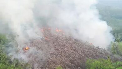 KLHK Klaim Kurangi Kebakaran Hutan Hampir 60 Persen Sepanjang Tahun Hal ini adalah