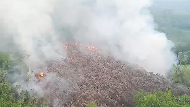 KLHK Klaim Kurangi Kebakaran Hutan Hampir 60 Persen Sepanjang Tahun Hal ini adalah