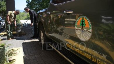 KLHK Punya Buku Panduan Khusus untuk Survei Tumbuhan dan juga juga Satwa Liar, Apa Isinya?