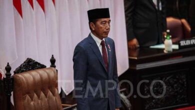 Ekonom Senior Hal ini Bantah Klaim Jokowi yang digunakan mana Sebut IKN Keputusan Seluruh Rakyat