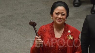 Segini Harta Puan Maharani yang tersebut Kembali Jabat Ketua DPR, Punya 97 Aset Properti