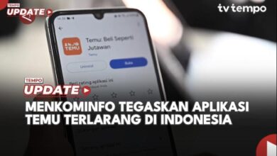 Budi Arie Sebut Sudah Blokir Temu, Kenapa Masih Ada pada Playstore?