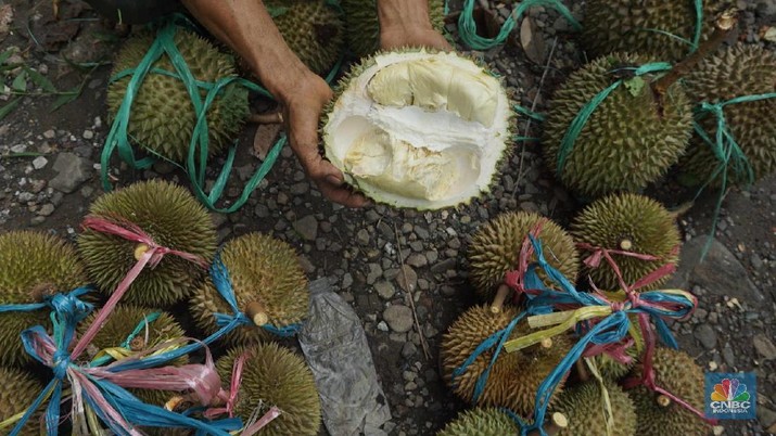 6 Makanan Hal ini adalah Bisa Bahaya Jika Dikonsumsi bersatu Durian