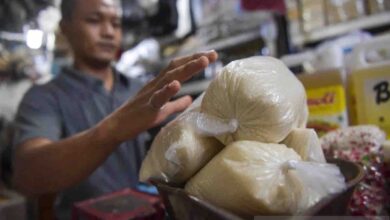 Bapanas dorong produktivitas gula ke NTT agar swasembada