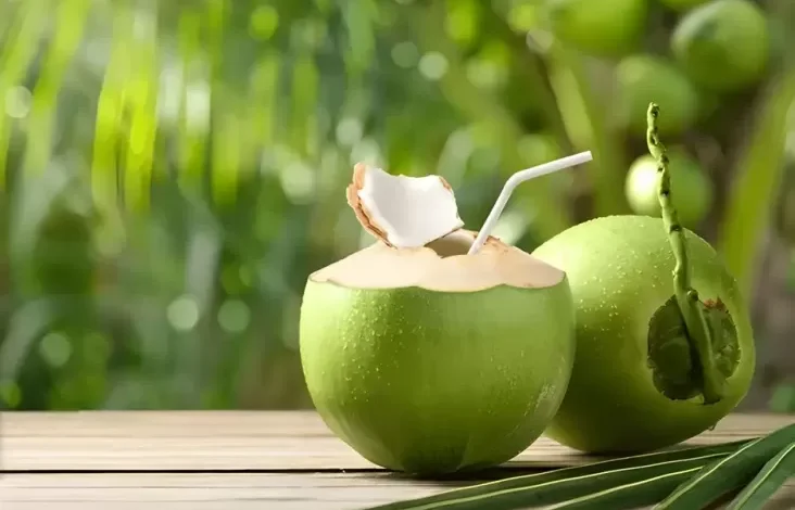5 Manfaat Minum Air Kelapa ketika Perut Kosong, Bisa Melarutkan Batu Ginjal