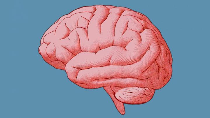 5 Olahraga yang digunakan dimaksud Dapat Mengoptimalkan Daya Ingat