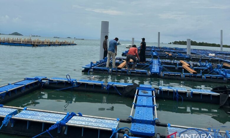 KKP siap resmikan modeling budidaya lobster pada Batam