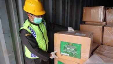 Vanili organik apabila Pulau Lombok diminati pangsa global