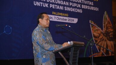 Pupuk Indonesia sambut usulan singkong jadi komoditas penerima subsidi