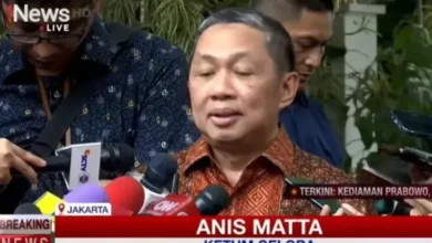 Anis Matta Jadi Wakil Menteri Luar Negeri Fokus pada Bumi Islam