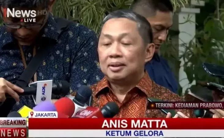 Anis Matta Jadi Wakil Menteri Luar Negeri Fokus pada Bumi Islam