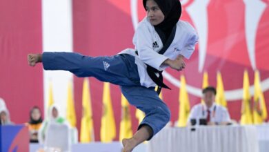 Mengenal lebih tinggi berbagai dalam selama usul bela diri Taekwondo