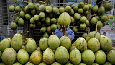7 Grup Orang yang mana dimaksud Dianjurkan Minum Air Kelapa, Anda Termasuk?