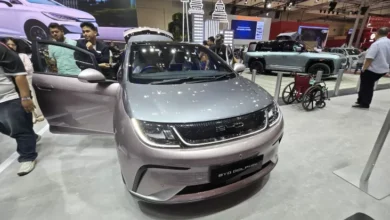 BYD Dolphin Recall di tempat pada China, Bagaimana Nasib Pelanggan di area area Indonesia?