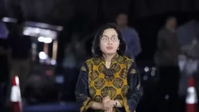 Daftar 16 Menteri Jokowi yang dimaksud digunakan Dipanggil Prabowo, Masuk Kabinet Pemerintahan Baru?