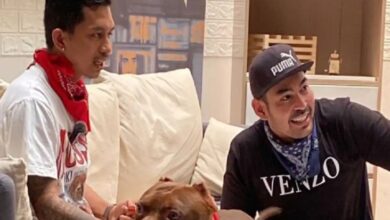 Dari Pitbull ke Bulldog, Pelajari Karakter Anjing juga Tips Perawatan dari Shine juga Robby Purba