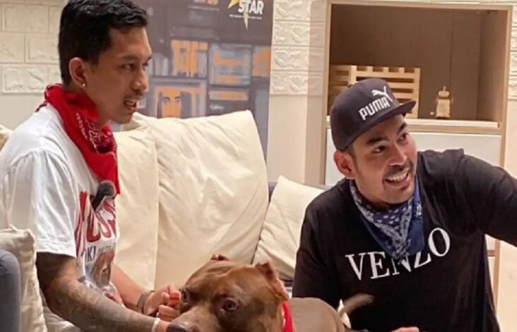 Dari Pitbull ke Bulldog, Pelajari Karakter Anjing juga Tips Perawatan dari Shine juga Robby Purba