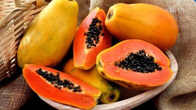 Jangan Coba-Coba, 5 Grup Orang Ini adalah adalah Pantang Makan Pepaya