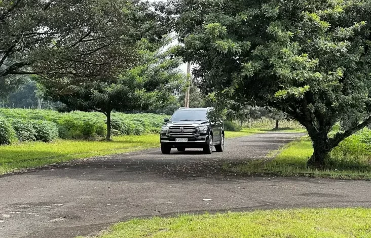 Mobil Bau Bensin? Jangan Panik, Hal ini adalah Cara Mengatasinya!