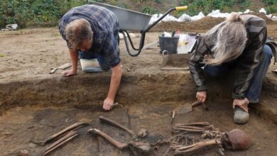 Arkeolog Temukan 50 Kuburan Viking, Hal ini Penampakannya!