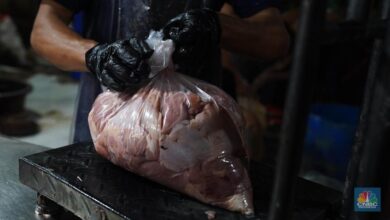 Ahli Temukan Daging Ayam, Sapi, Babi, Mengandung Mikroplastik