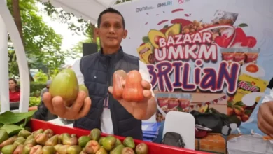 Pengusaha Jambu di Kudus Maju Kembangkan Usaha Berkat Pemberdayaan BRI