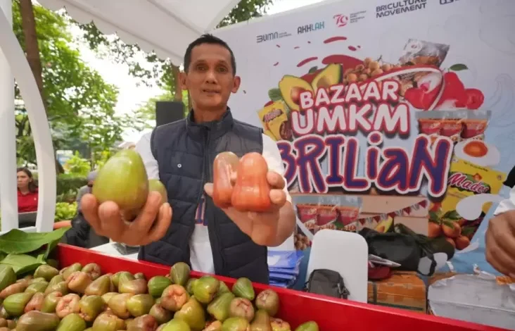 Pengusaha Jambu di Kudus Maju Kembangkan Usaha Berkat Pemberdayaan BRI