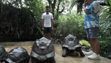 Robby Purba juga Irfan Hakim Bahas Rezeki juga Binatang Peliharaan, Ada Hubungannya?