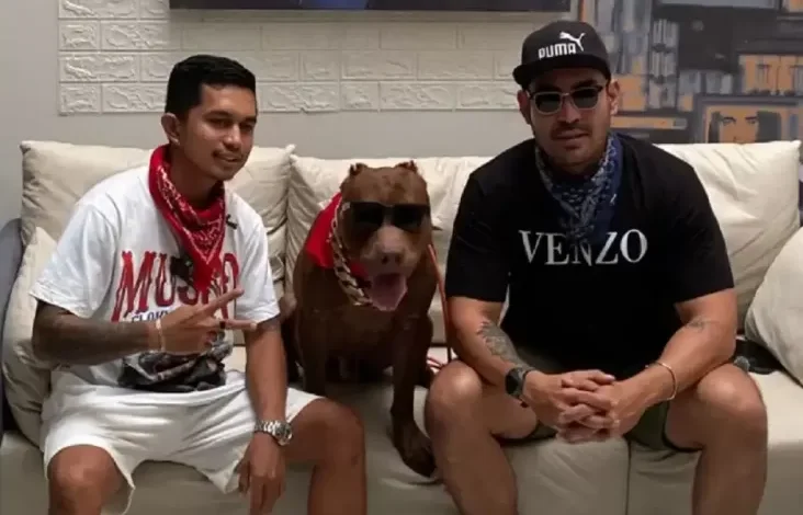 Teknik Jitu Mengatasi Perilaku Dominan Anjing, Tips juga Trik dari YouTube Robby Purba
