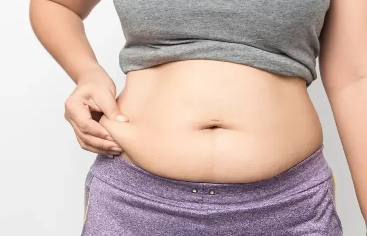 Tidak Makan Nasi tapi Berat Badan Tetap Naik? Hal ini Penyebabnya