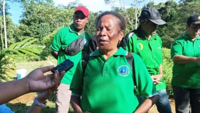Ikhtiar perempuan Papua wujudkan kampung ketahanan pangan