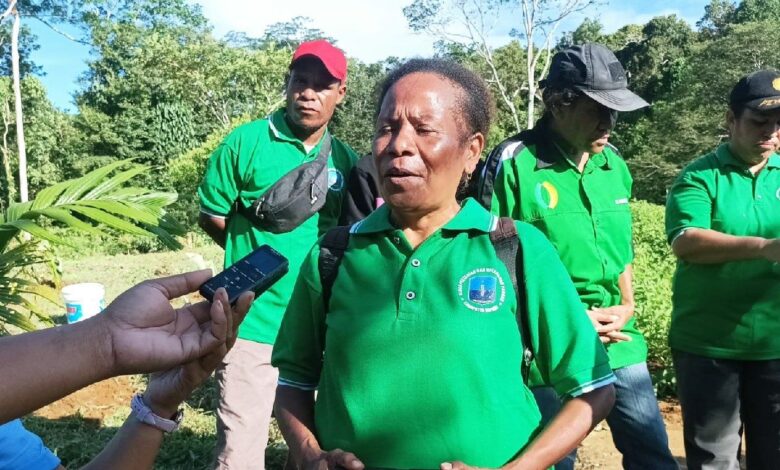 Ikhtiar perempuan Papua wujudkan kampung ketahanan pangan